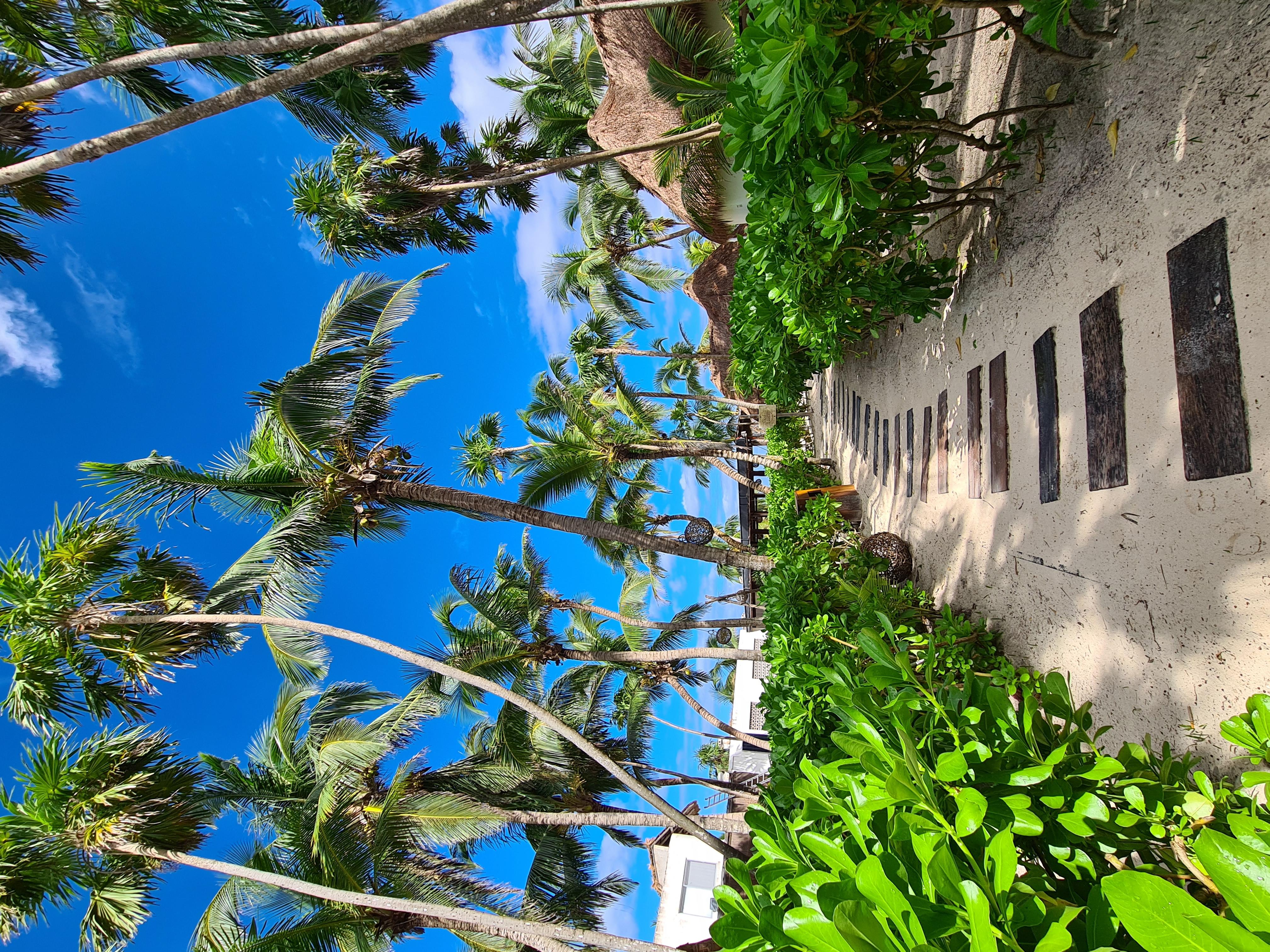 Los Amigos Beach Hotel Boutique Tulum Zewnętrze zdjęcie