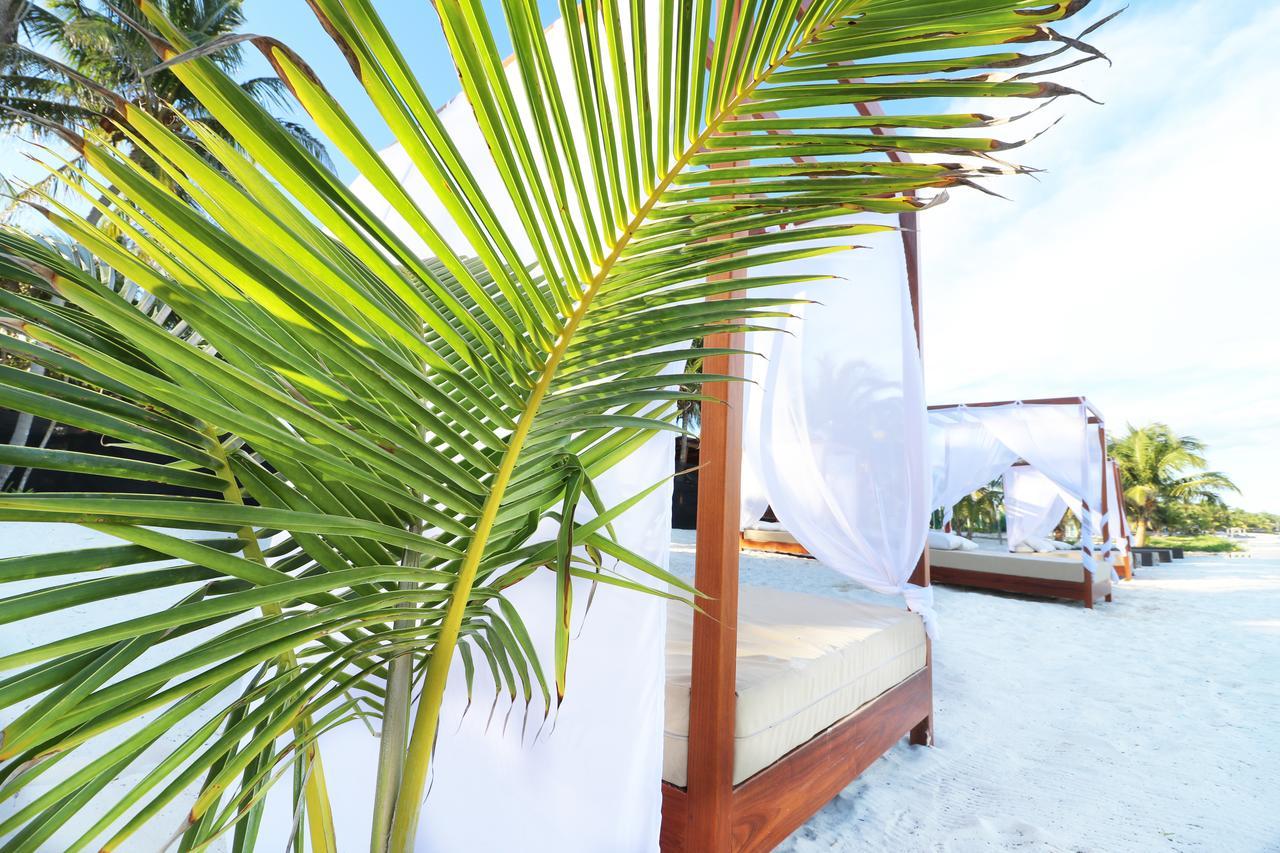 Los Amigos Beach Hotel Boutique Tulum Zewnętrze zdjęcie